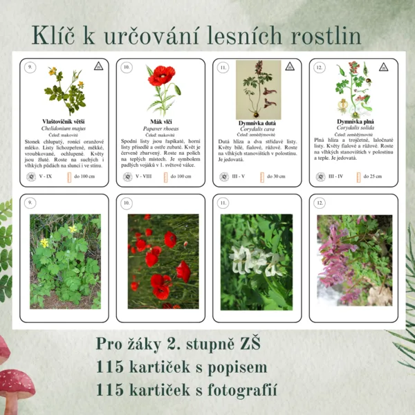Klíč k určování lesních rostlin 1