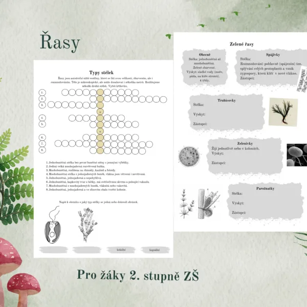 Řasy 1