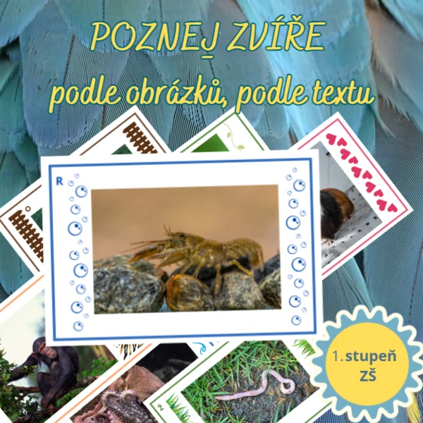 Poznej ZVÍŘE Z ŘEKY A RYBNÍKA - podle obrázků, podle textu 1