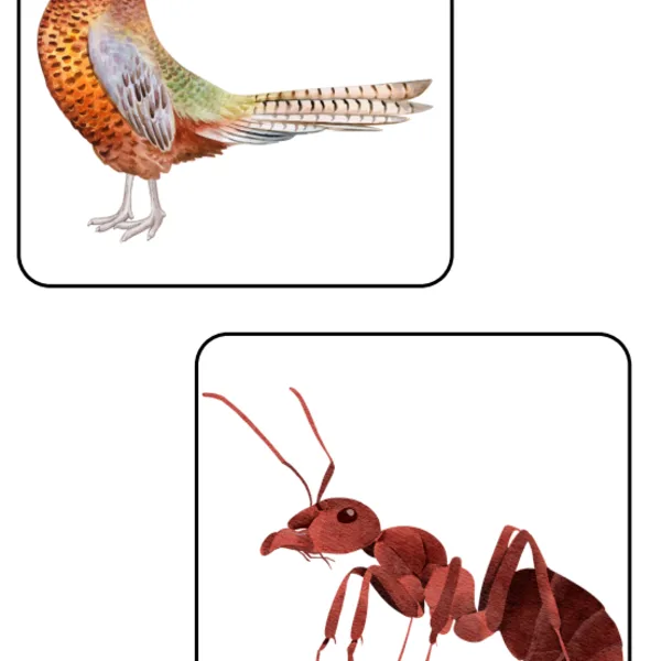 Zvířátka v lese - Bee bot 1