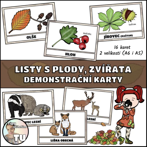 Listy, plody, zvířata - podzim (demonstrační karty) 1