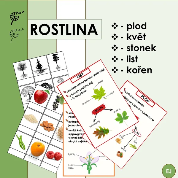 Rostliny 1