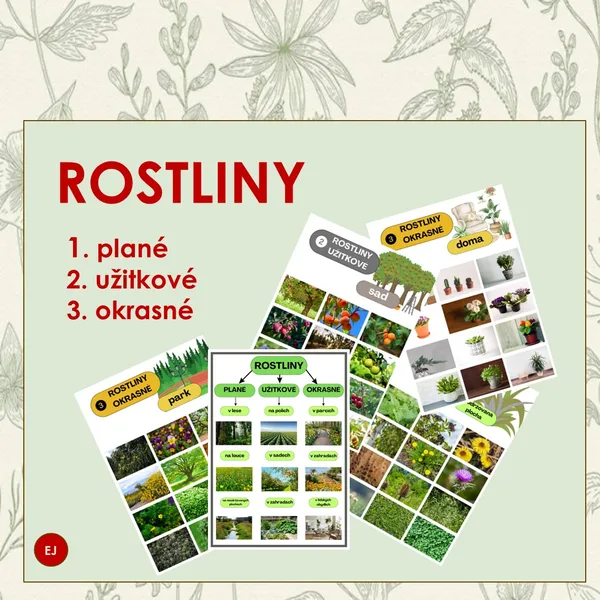 Rostliny - plané, užitkové, okrasné 1