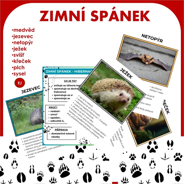 Zimní spánek 1