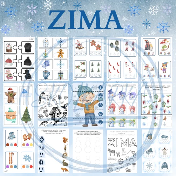 ZIMA 1