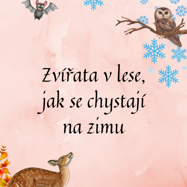 Zvířata v lese, jak se chystají na zimu 1