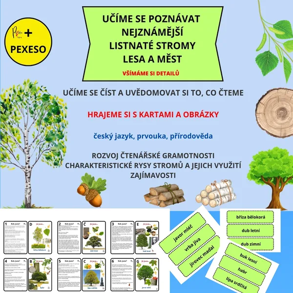 UČÍME SE POZNÁVAT NEJZNÁMĚJŠÍ LISTNATÉ STROMY LESA A MĚST, VŠÍMÁME SI DETAILŮ 1