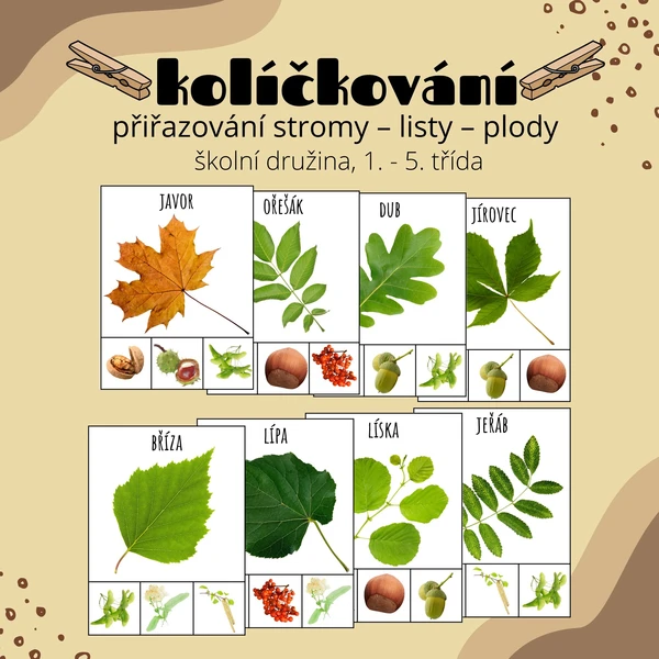 Stromy - listy - plody (kolíčkování) 1