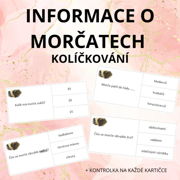 Informace o morčatech - kolíčkování 1