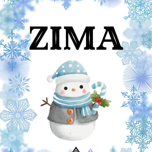 Zima- soubor aktivit  1