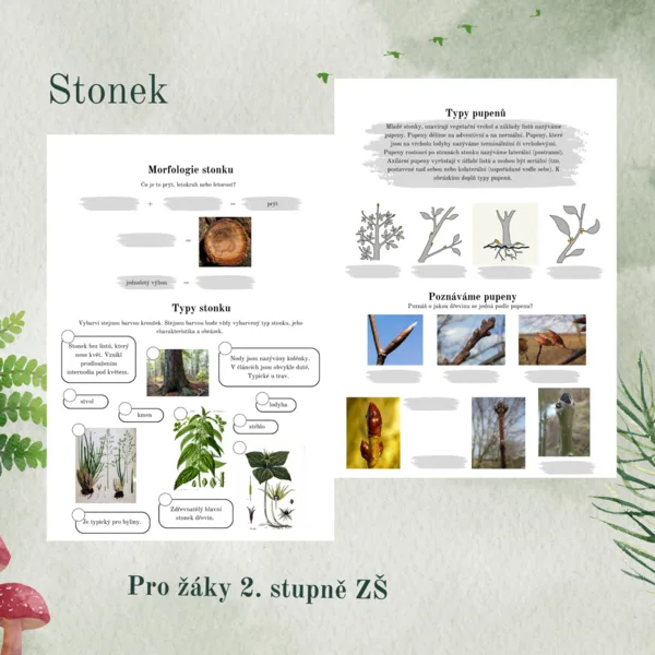 Stonek 1
