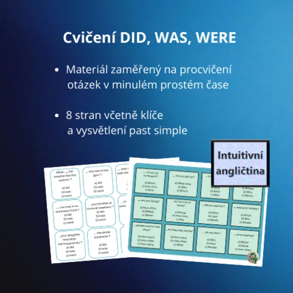 Cvičení DID, WAS, WERE  1