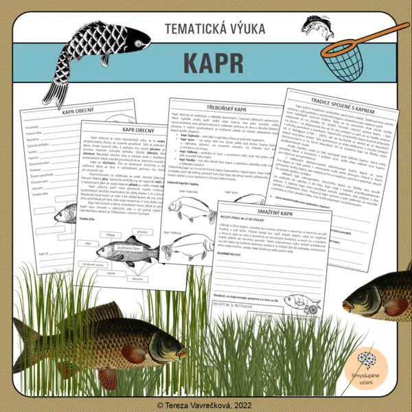Kapr 1