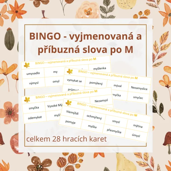 BINGO - vyjmenovaná a příbuzná slova po M 1