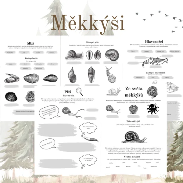 Měkkýši 1