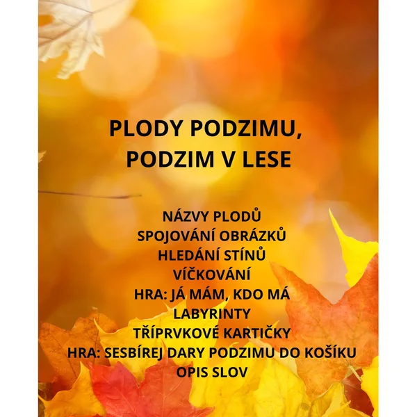 PLODY PODZIMU, PODZIMNÍ LES 1