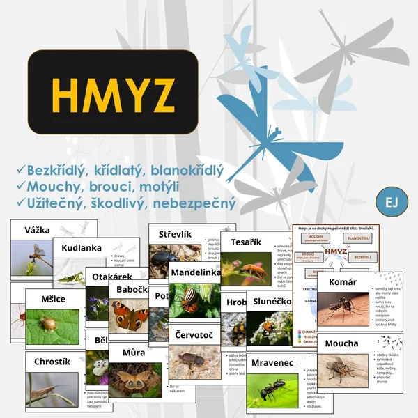 Hmyz 1