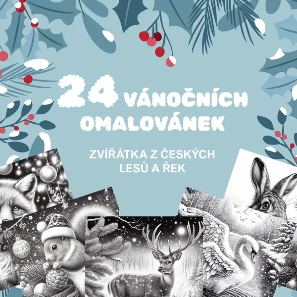 24 vánočních omalovánek na téma: zvířátka z českých lesů a řek 1