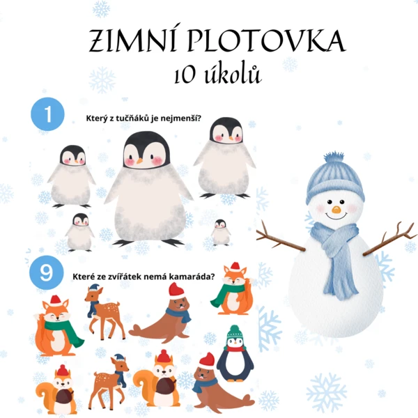 Zimní plotovka 1