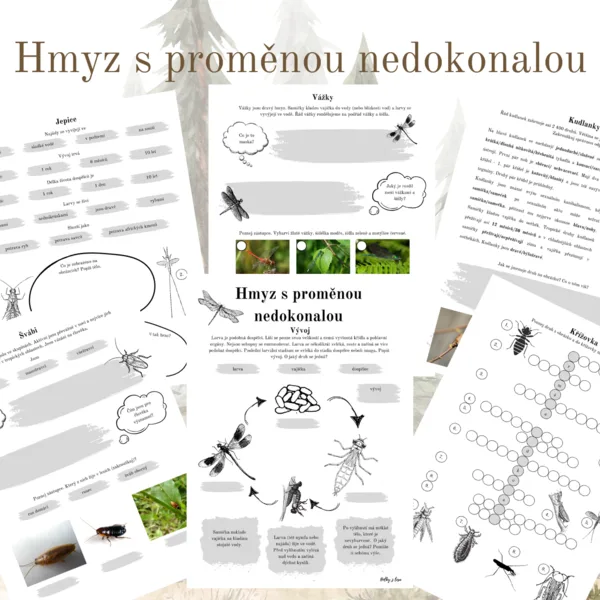 Hmyz s proměnou nedokonalou 1