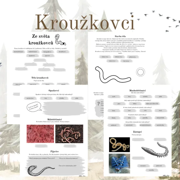Kroužkovci 1