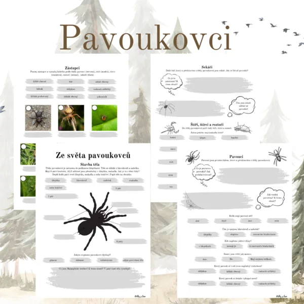 Pavoukovci 1