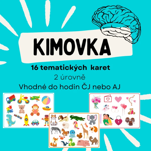 KIMOVKA aneb co vidíš na obrázku 1