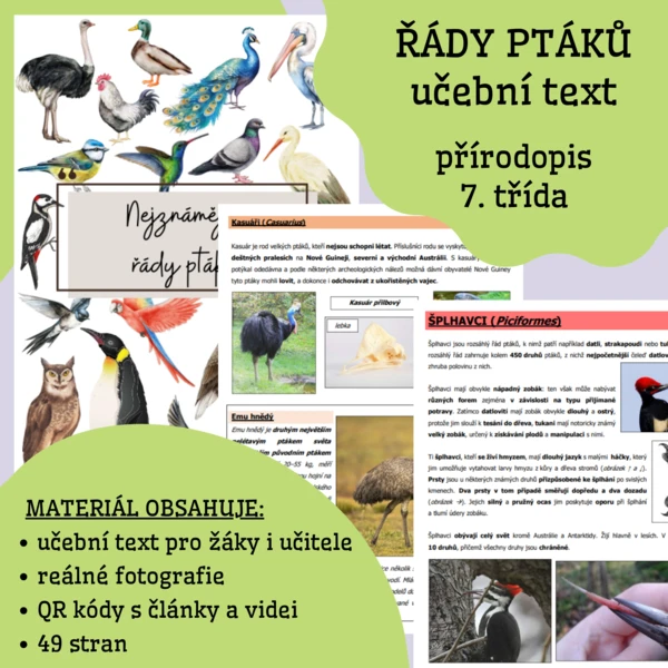 Řády ptáků - učební text 1