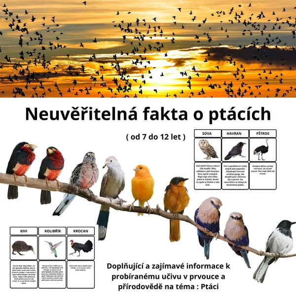 Neuvěřitelná fakta o ptácích 1