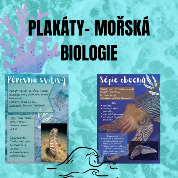 Plakáty/Mořská biologie 1