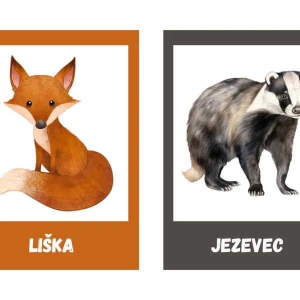 Volně žijící zvířata 1