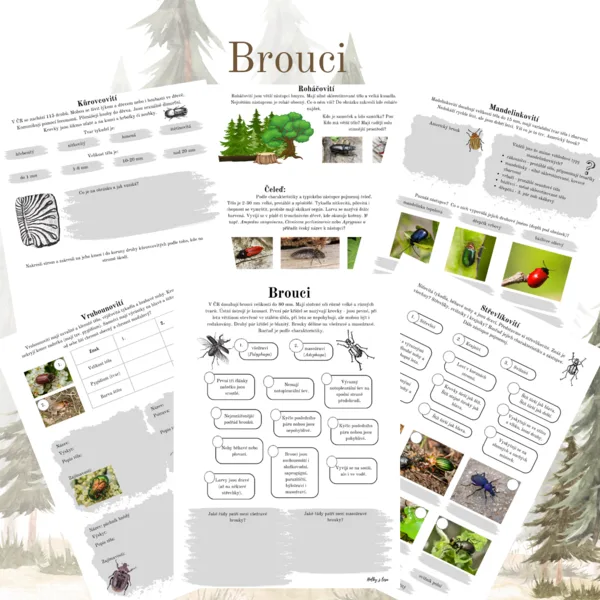 Brouci 1