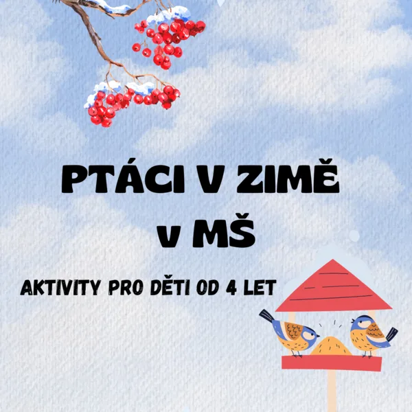 Ptáci v zimě v MŠ- aktivity pro děti od 4 let 1