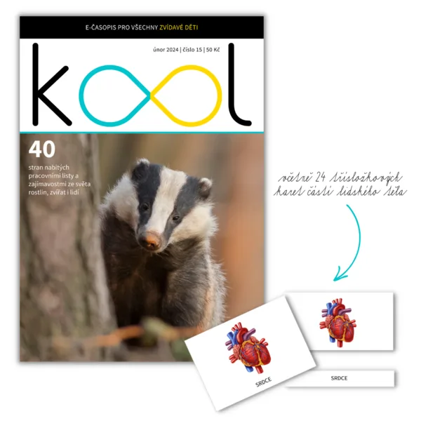 KOOL 02/2024 1