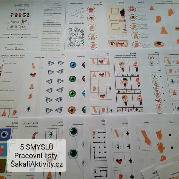 Pracovní listy - 5 SMYSLŮ 1