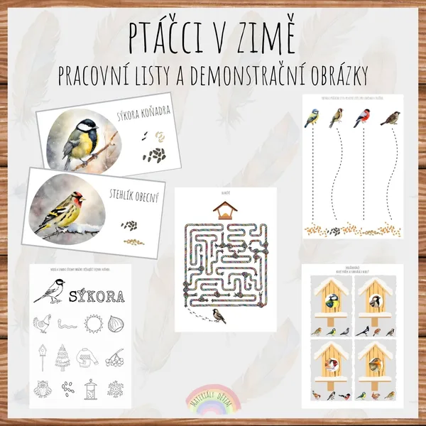 Ptáčci v zimě, demonstrační obrázky a pracovní listy 1