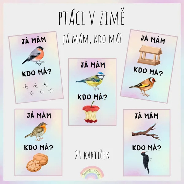Já mám, kdo má? Ptáci v zimě 1
