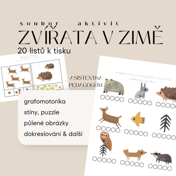 Zvířata v zimě - soubor aktivit 1