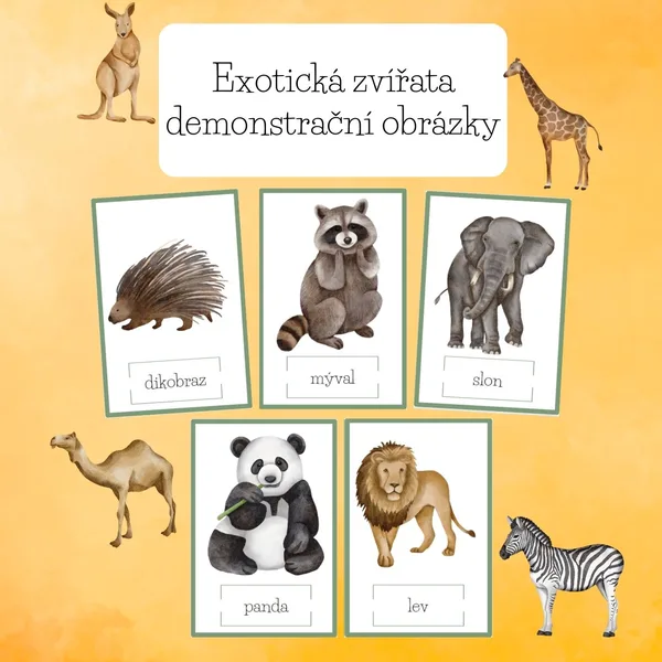 Exotická zvířata-demonstrační obrázky 1