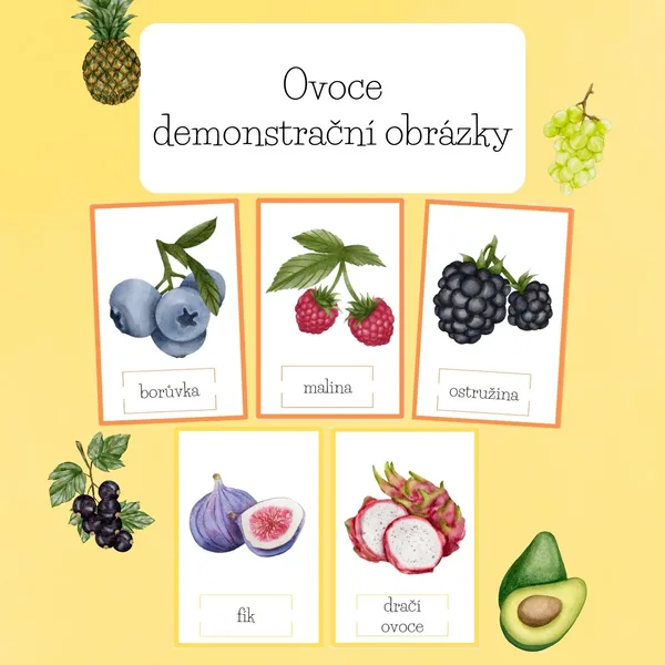 Ovoce-demonstrační obrázky 1
