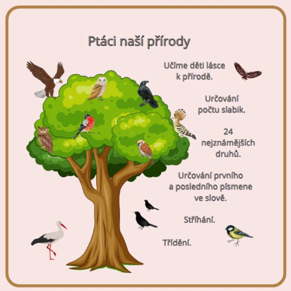 PTÁCI ČESKÉ ZEMĚ 1