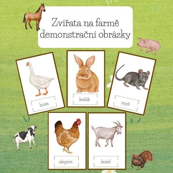  Zvířata na farmě-demonstrační obrázky  1