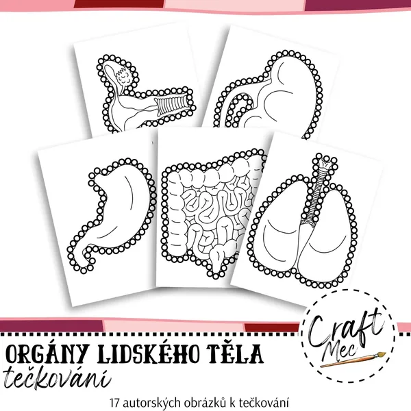 ORGÁNY LIDSKÉHO TĚLA - TEČKOVÁNÍ 1