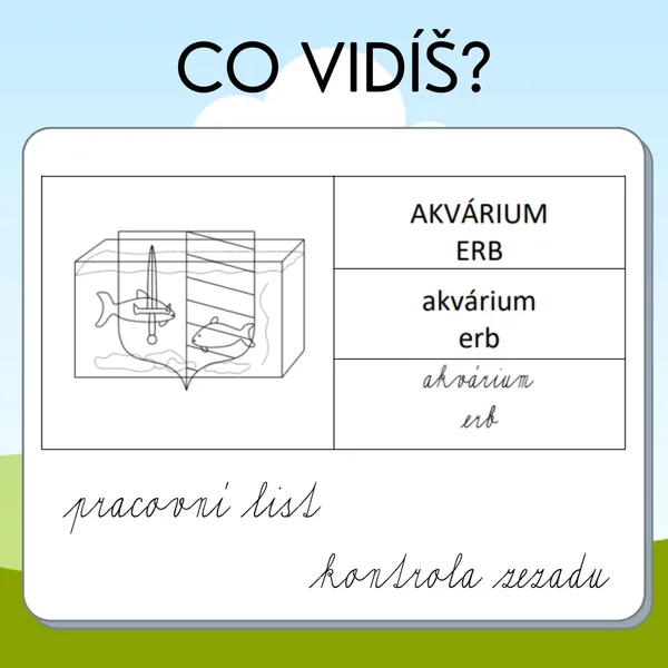 Co vidíš? 1