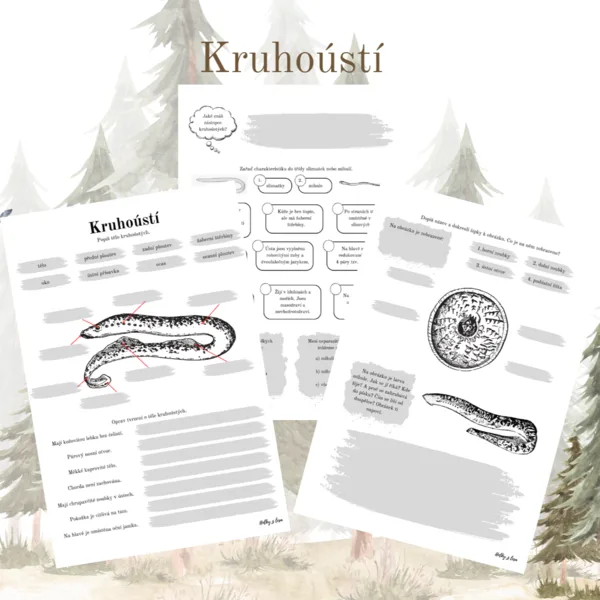 Kruhoústí 1