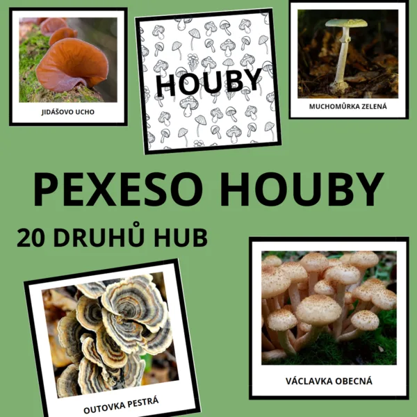 HOUBY - pexeso (20 druhů) 1