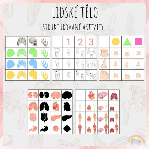 Lidské tělo, strukturované aktivity 1