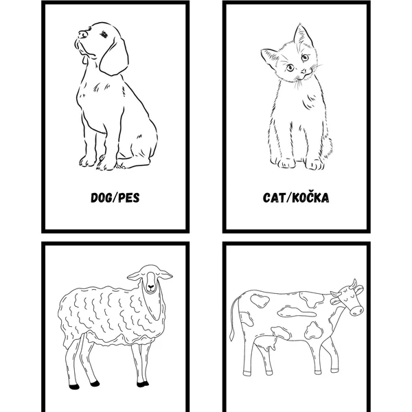 Farmářská zvířata/Farm animals 1