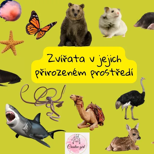 Zvířata v jejich přirozeném prostředí 1