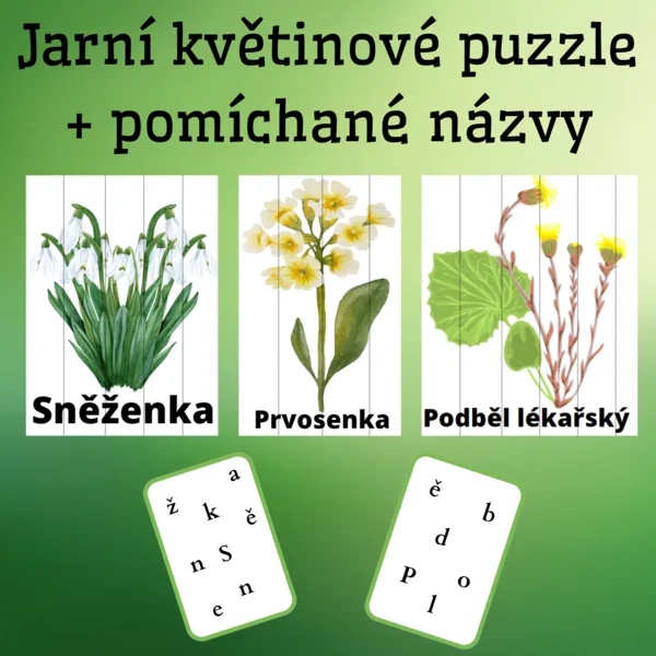 Jarní květiny - puzzle + pomíchané názvy květin 1